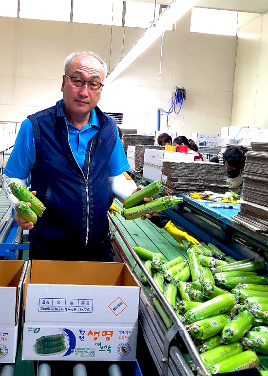 청원영농조합법인 정환창 대표가 홍콩 첫 수출길에 오른 청원생명 애호박의 가공 공정과정을 선보이고 있다.