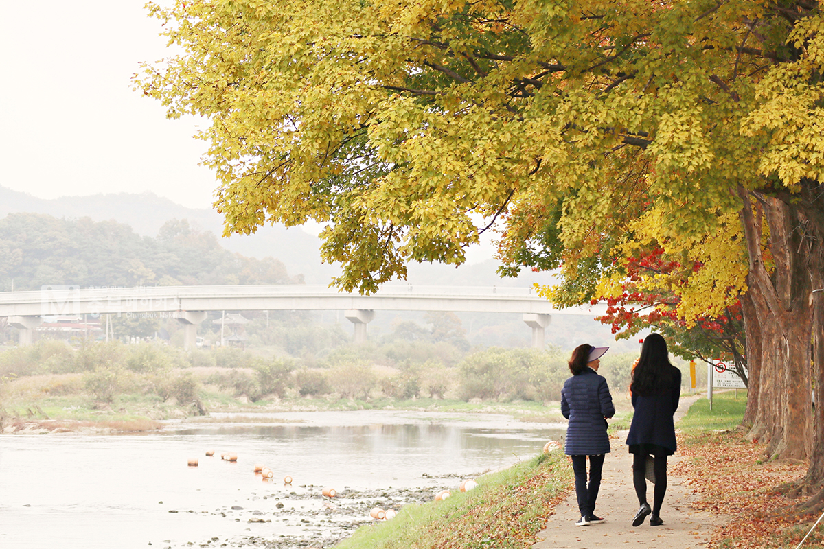 한국관광공사가 11월에 걷기 좋은 여행길로 영동 양산팔경 금강둘레길을 선정했다.