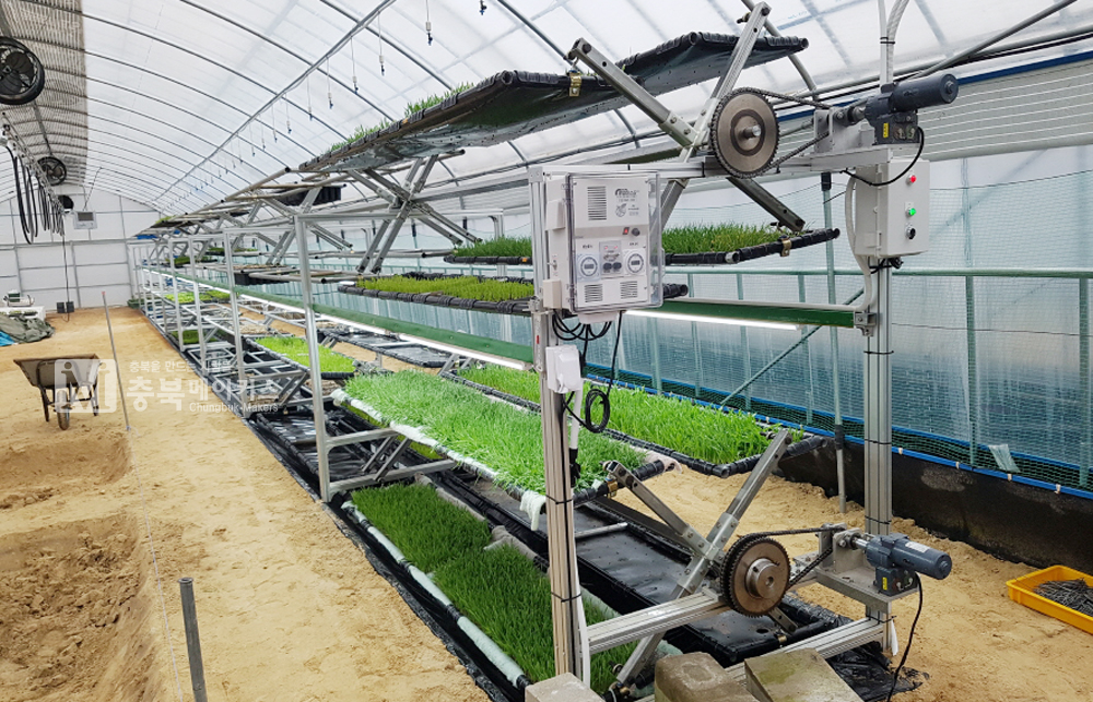 충북농기원은 2년여의 연구 끝에 단위면적당 생산성을 4배 높이고 노동력을 획기적으로 절감할 수 있는 '회전형 다단식 식물재배 장치(사진) 기술'을 특허 출원했다고 20일 밝혔다.