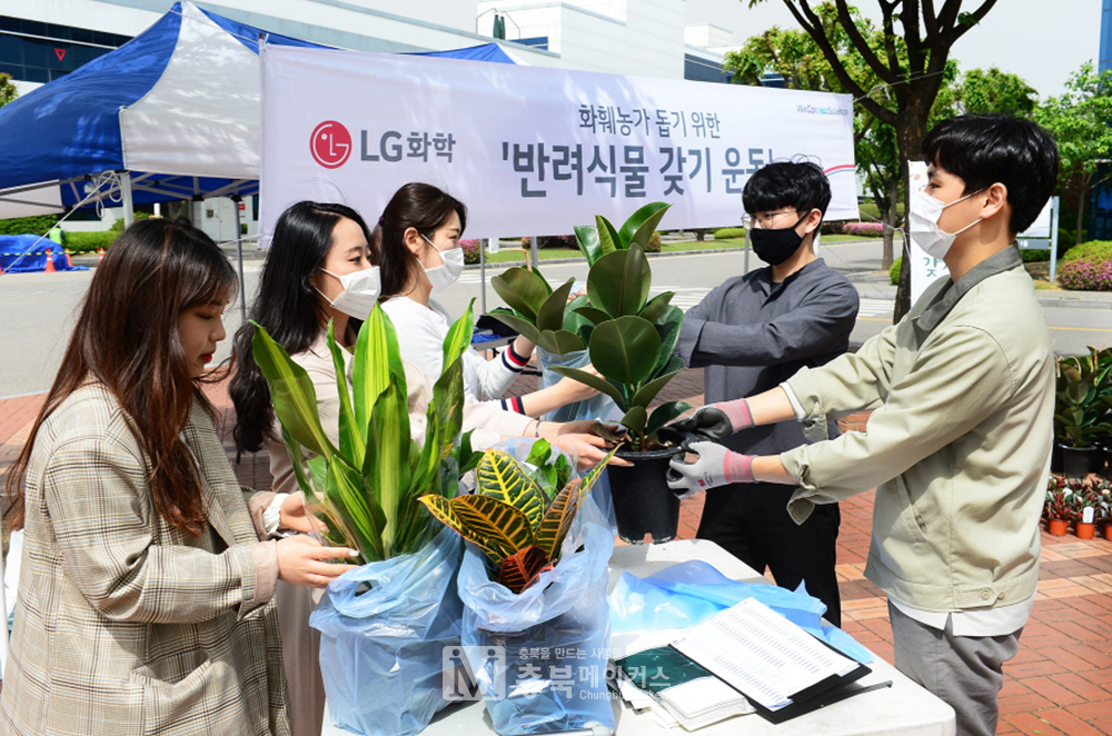 LG화학 청주·오창공장 직원들이 12일 코로나19로 판로확보에 어려움을 겪는 화훼농가를 돕기 위한 반려식물 갖기 운동에 동참했다.